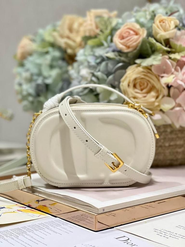 DIOR Signature Oval Camera Bag