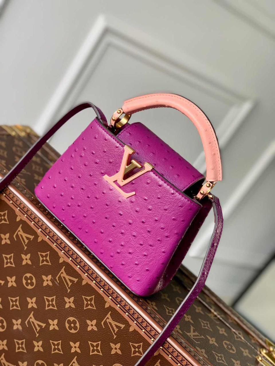 LOUIS VUITTON Capucines MM bag