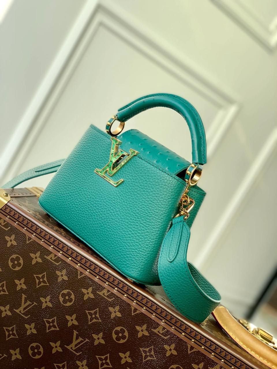 LOUIS VUITTON Capucines MM bag