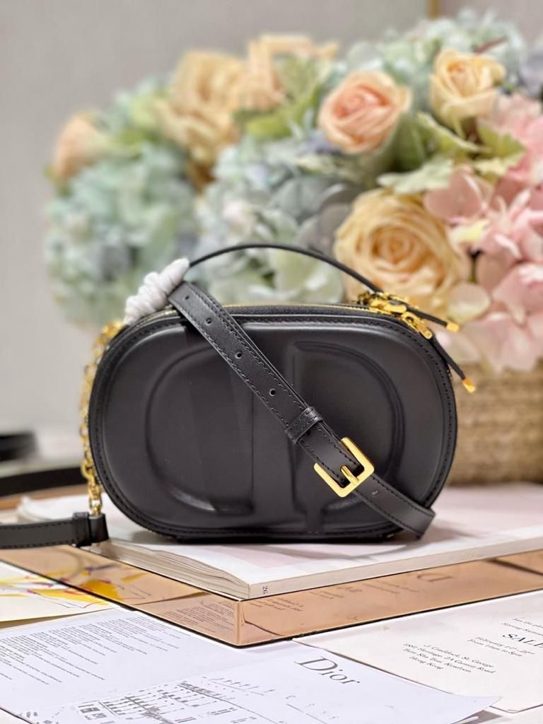 DIOR Signature Oval Camera Bag