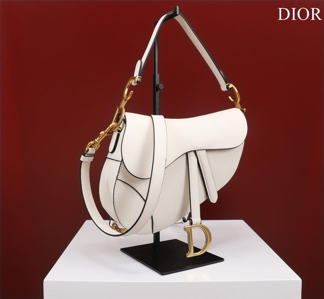 DIOR Saddle Bag