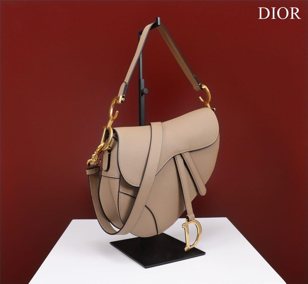 DIOR Saddle Bag