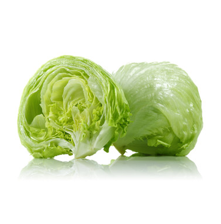 Lettuce Head