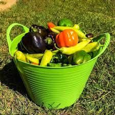 Basket Bundle - Vegetables