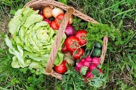 Basket Bundle - Leafy Greens