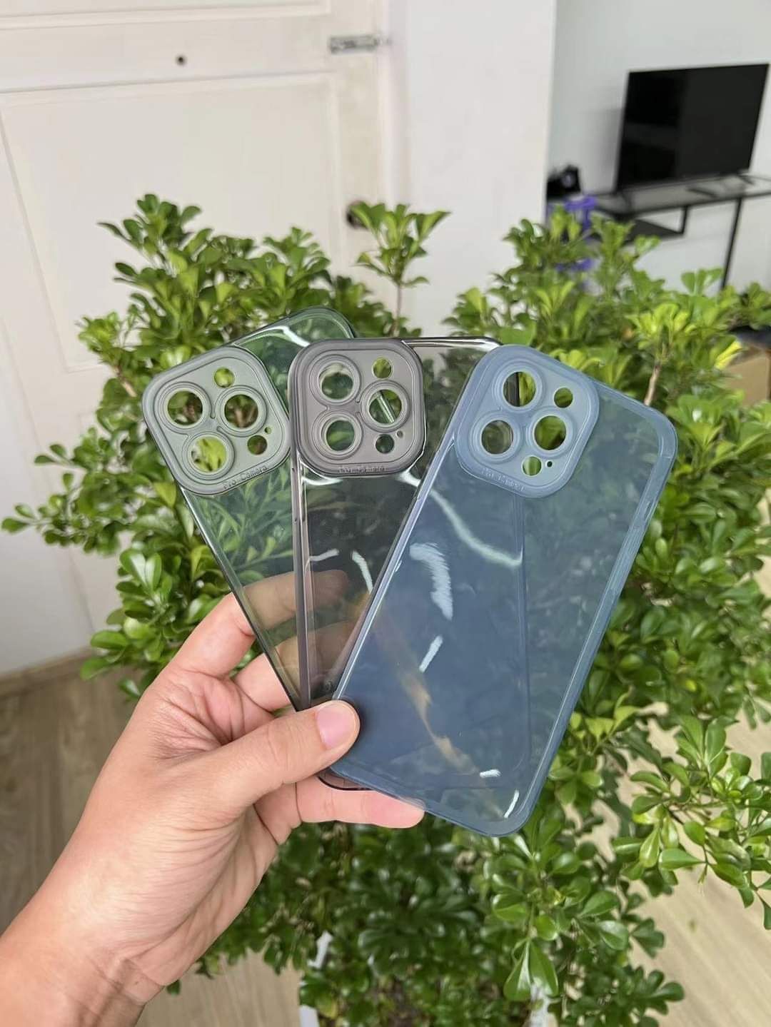 V.Jun_Transparent Color Cover