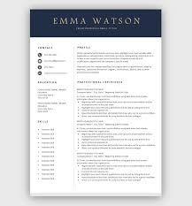 PROFESSIONAL CV