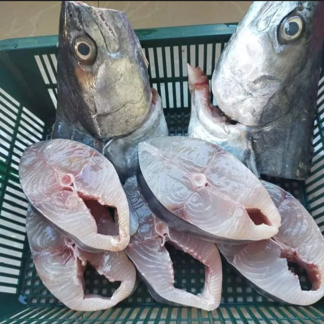 Tenggiri (Spanish Mackerel)