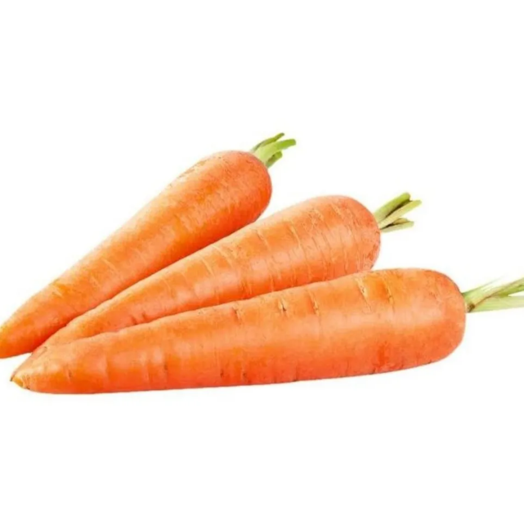 Carrot