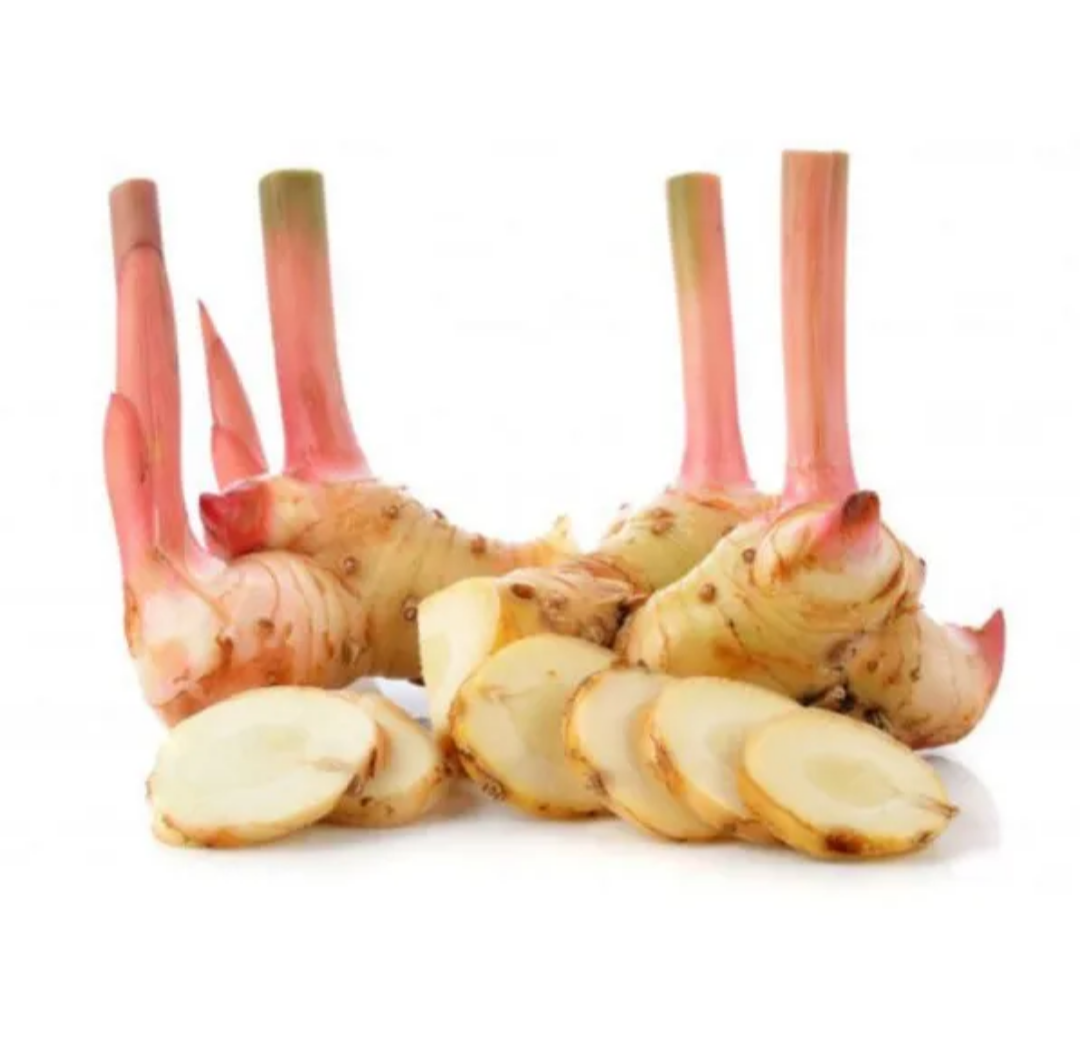 Lengkuas (Galangal)