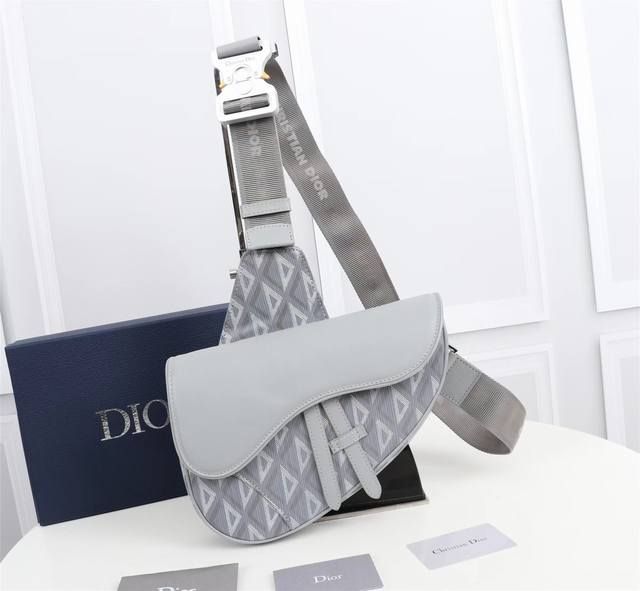 DIOR CD Saddle