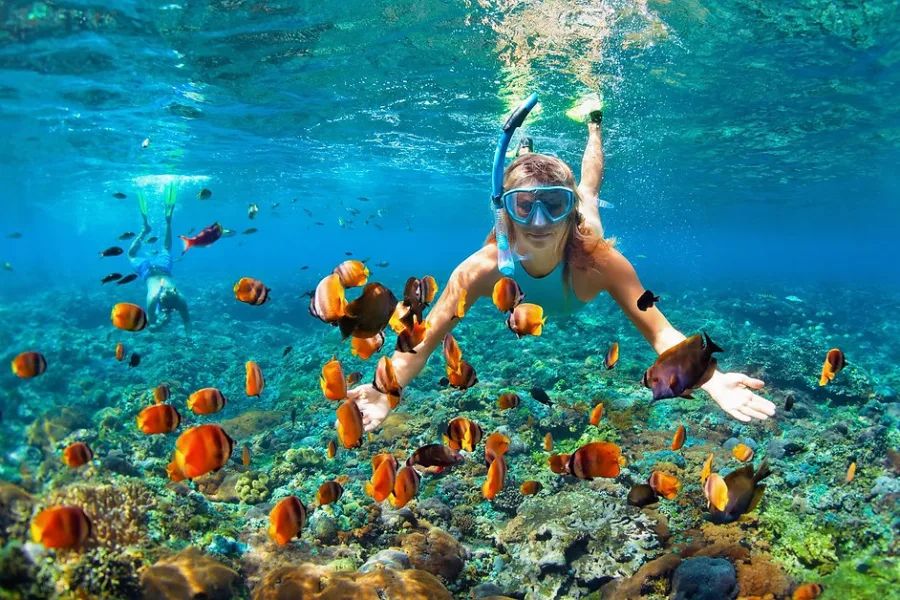 Snorkel Adventure