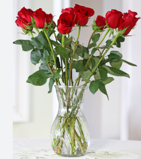 Fresh Cut Flowers Red Roses