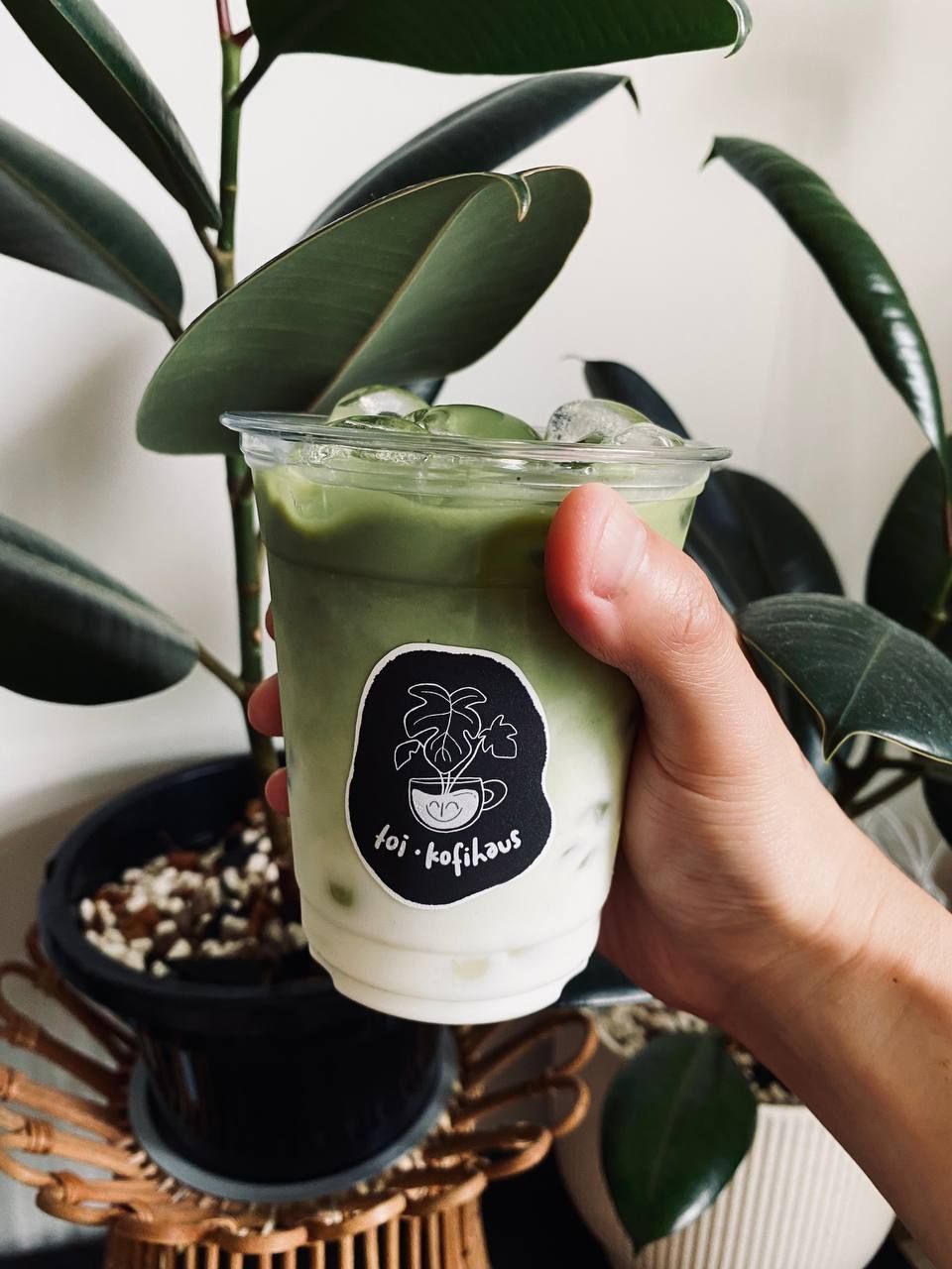 Matcha Latté 