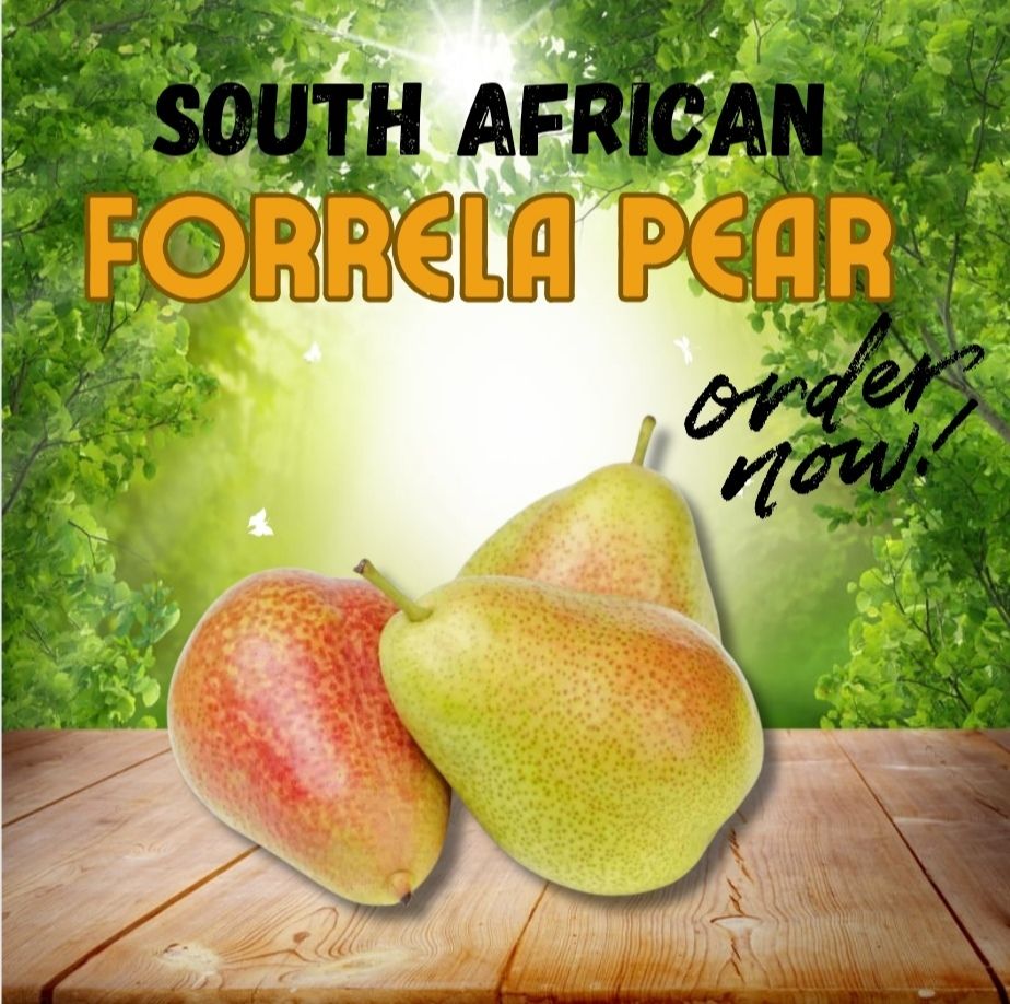 SOUTH AFRICA FORELLE PEAR 