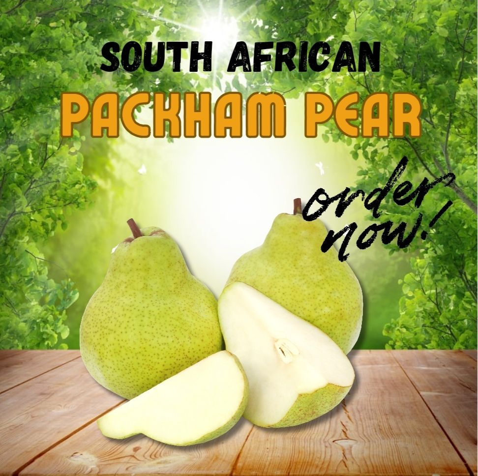 SA PACKHAM PEAR (L)