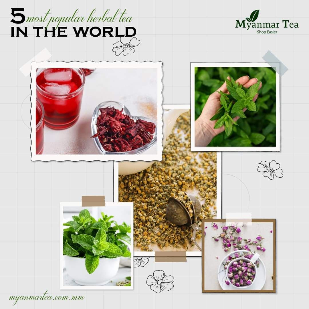 Myanmar Tea_Herbal Tea Collection