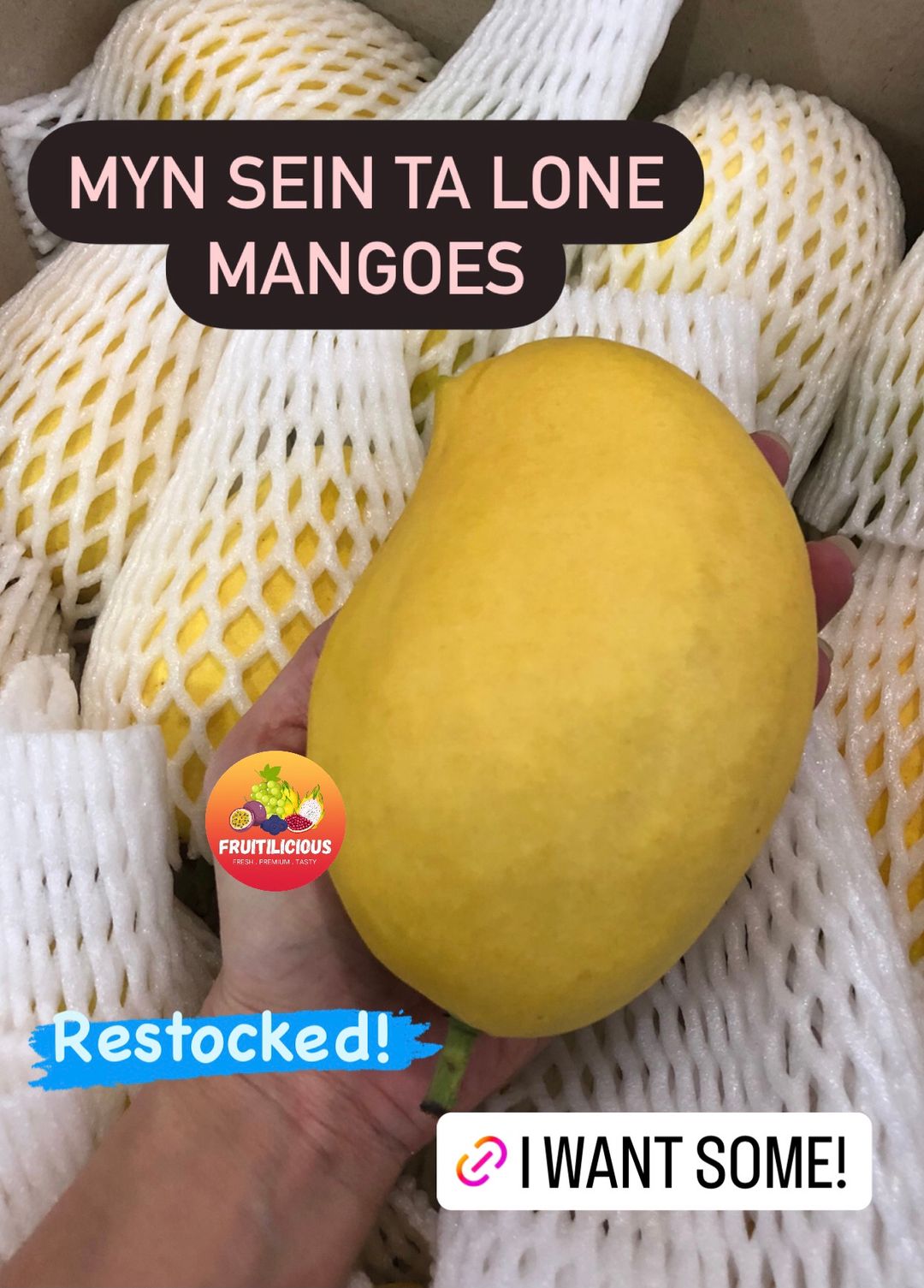 MYANMAR SEIN TA LONE MANGOES XXL