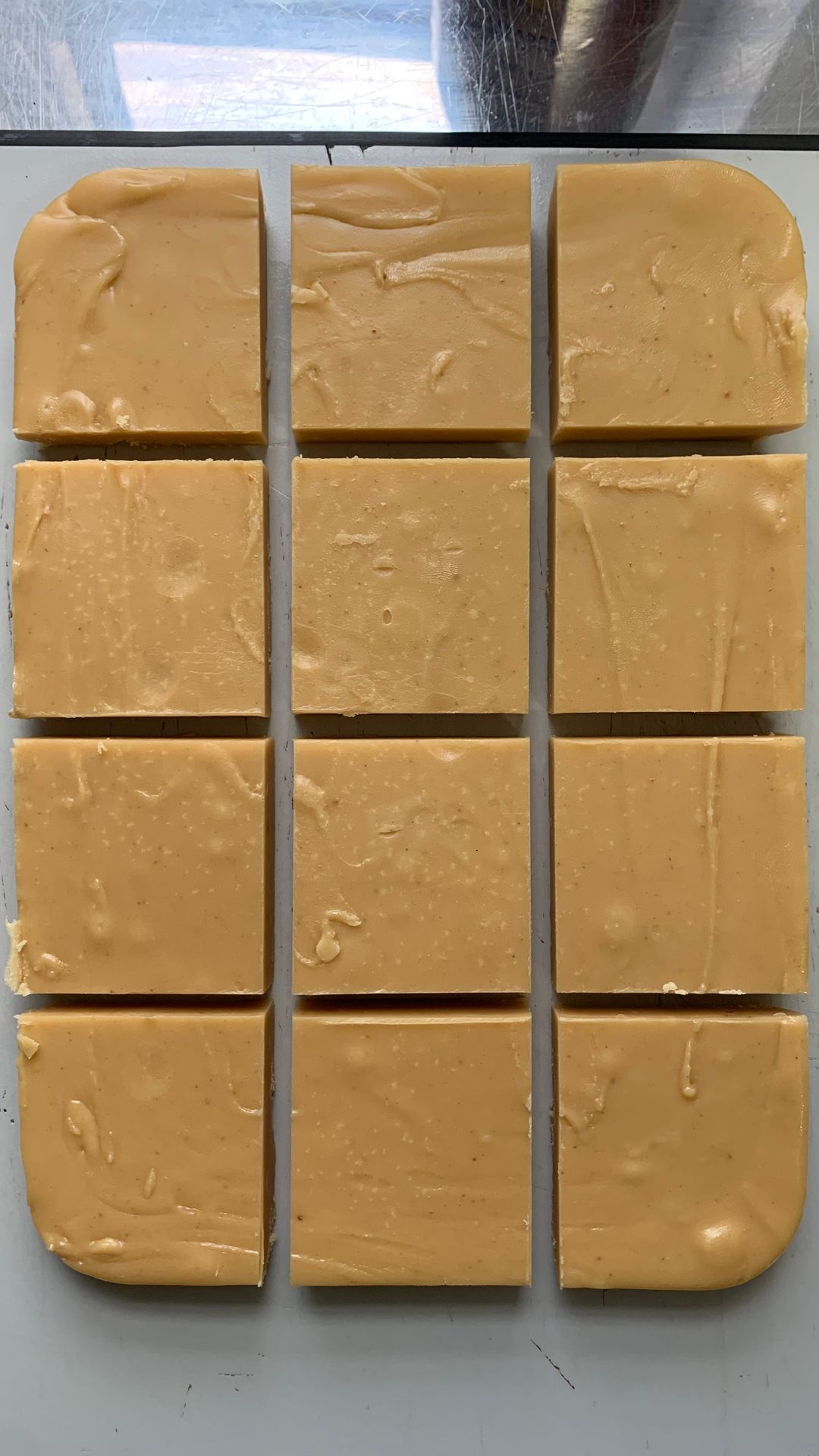 80mg Gourmet Fudge