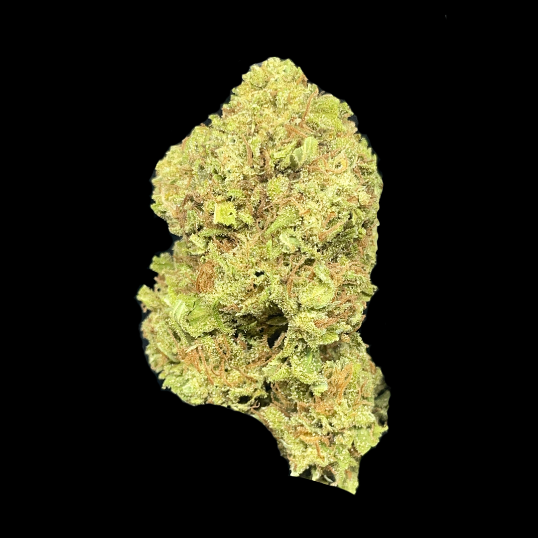 Seedless Big Buddha Cheese Craft Outdoor 1g