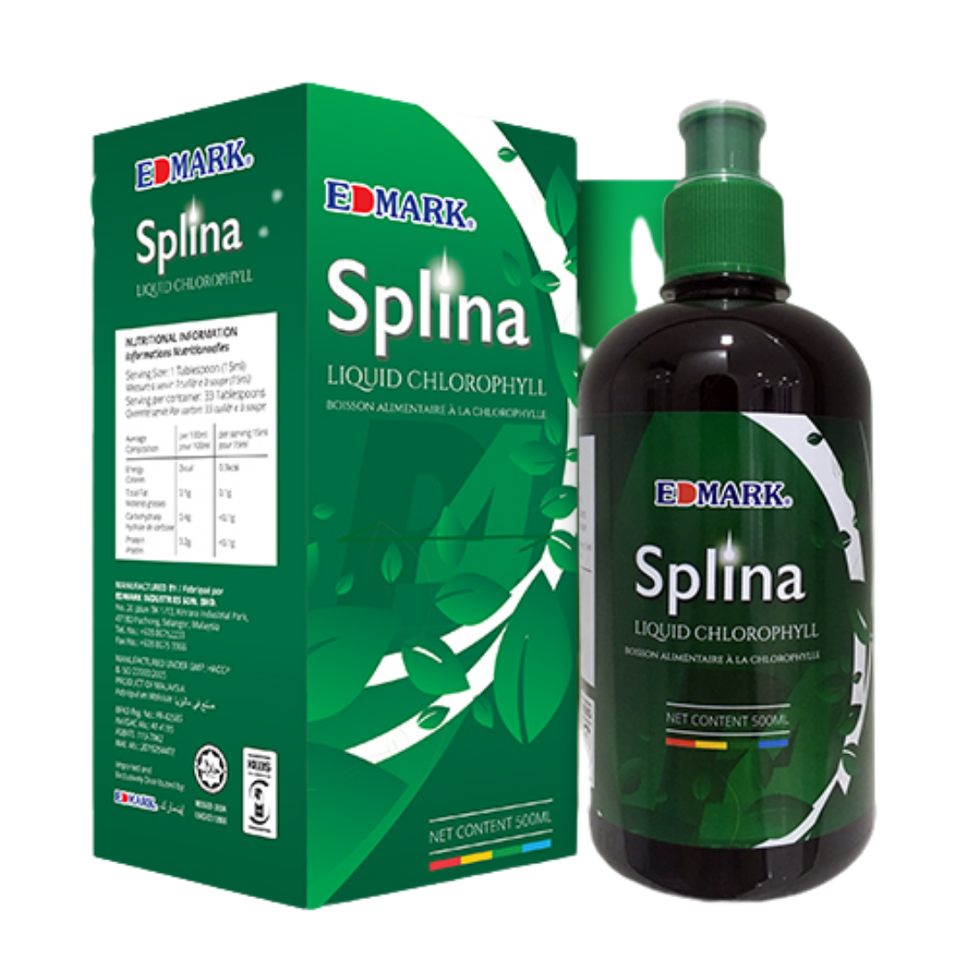 Splina