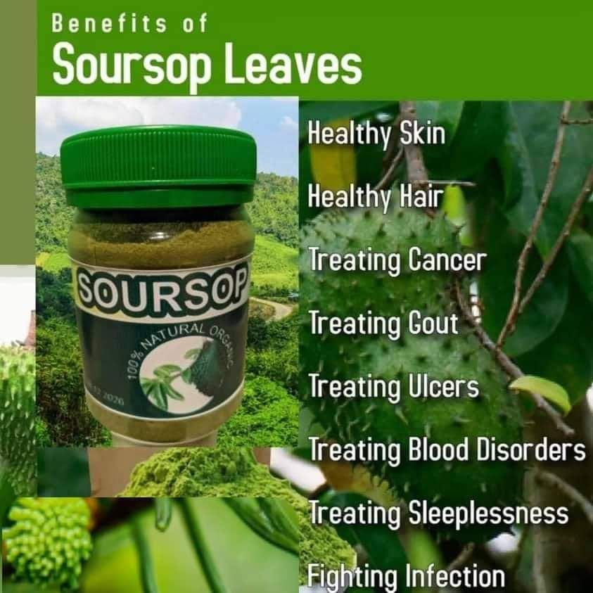 Soursop 