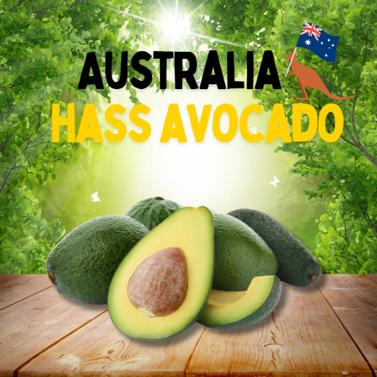 AUS HASS AVOCADO