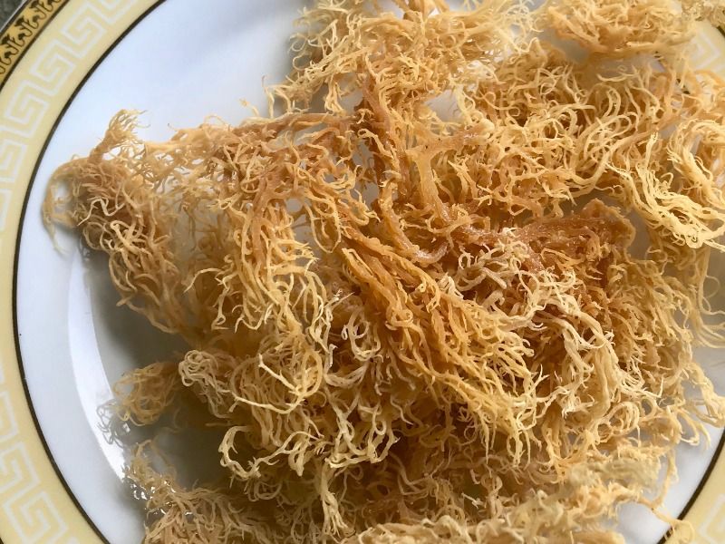 Sea moss