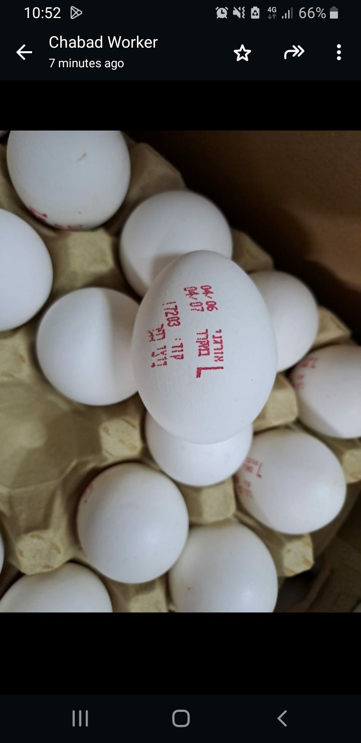 Organic Eggs