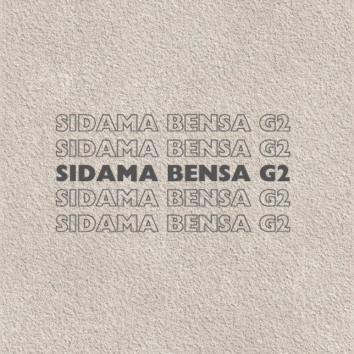 Ethiopia - Sidama Bensa G2 