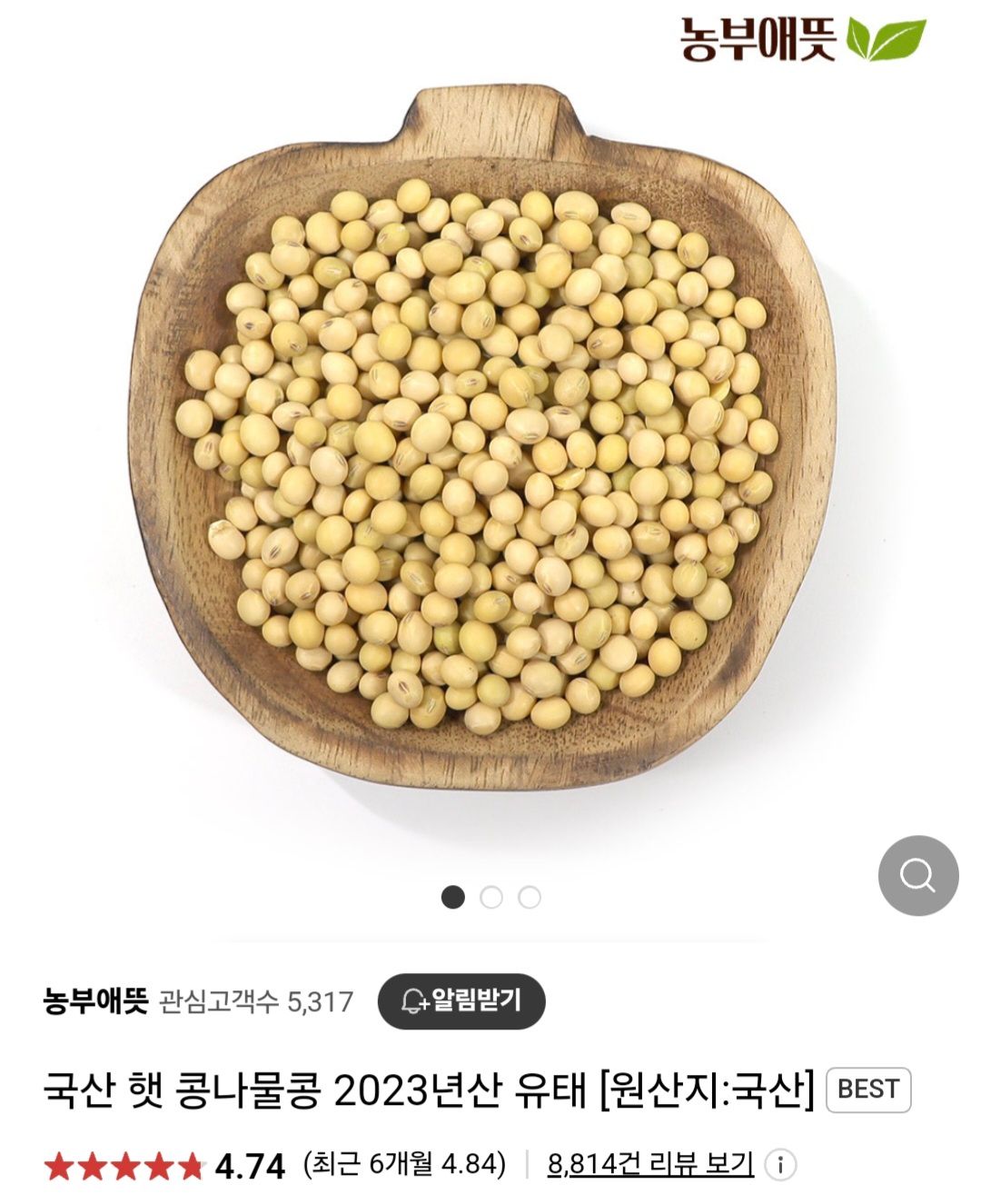 24년 햇콩나물 콩 500g