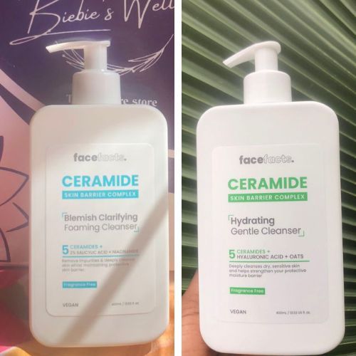 Face Facts Blemish Foaming/Hyrdrating Cleanser