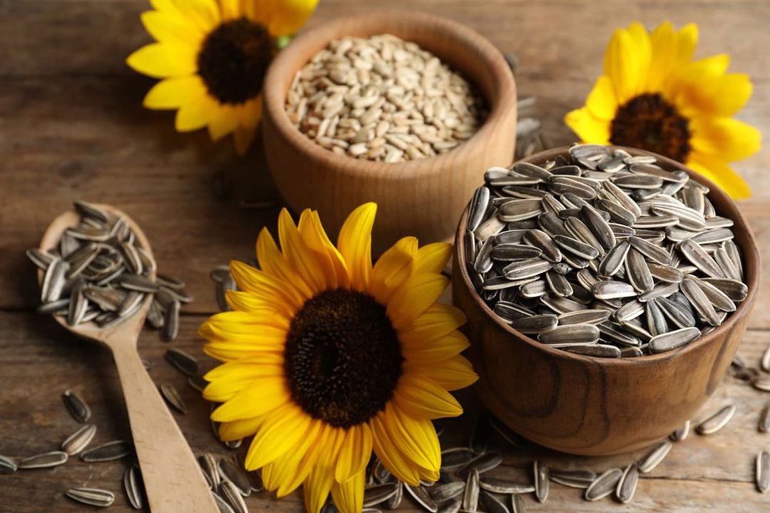 Sunflower seed