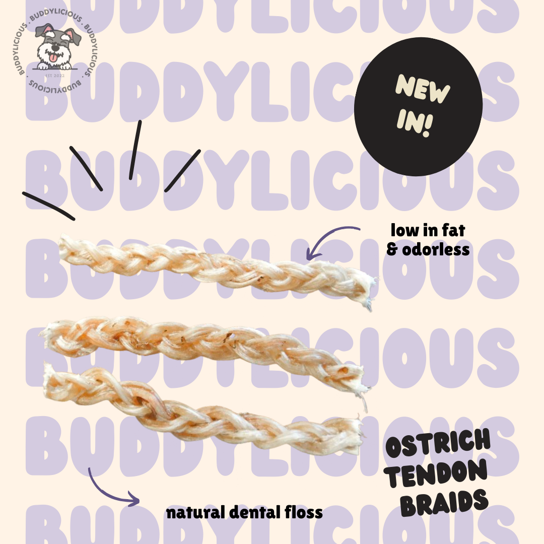 Ostrich Braided Tendon (5pcs)