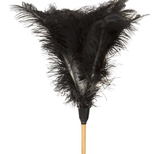 Duster Feather 1840mm