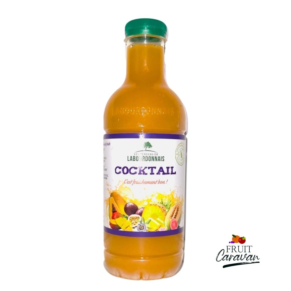 LES VERGERS DE LABOURDONNAIS COCKTAIL JUICE 1LT