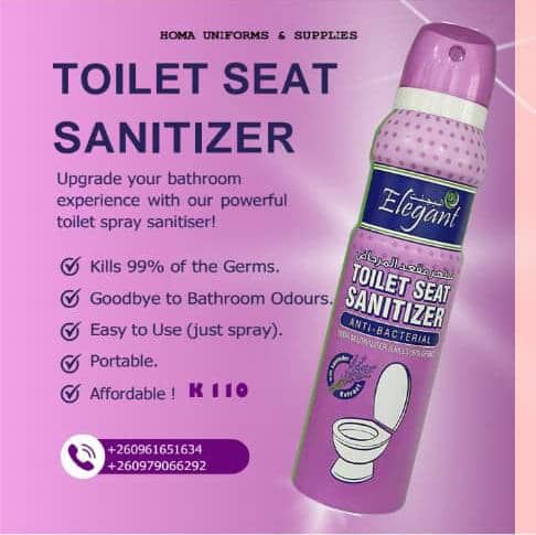 Toilet seat sanitizer 