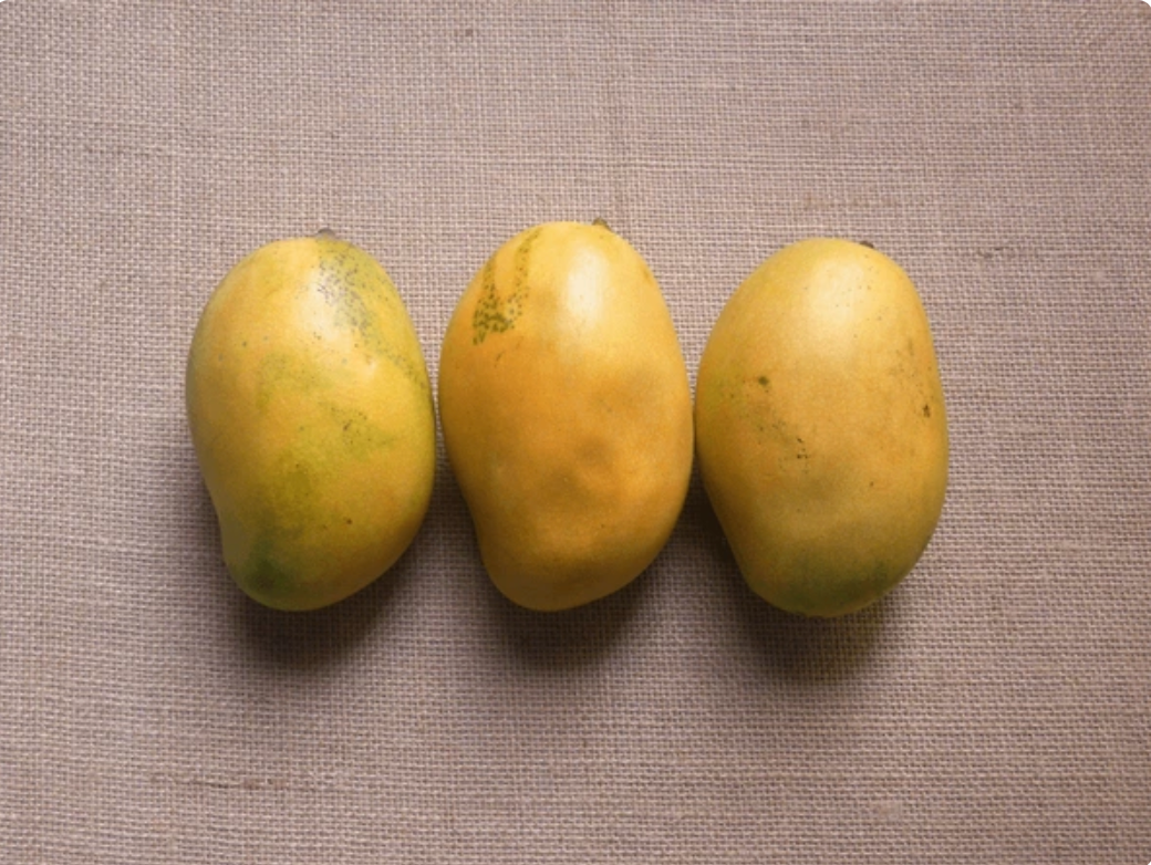 Dasheri Mangoes (Box of 8-10)