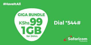 1GB Valid For 24hrs