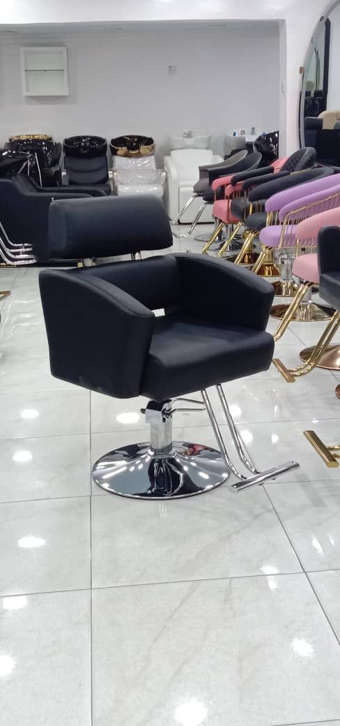 Salon and barber chair 