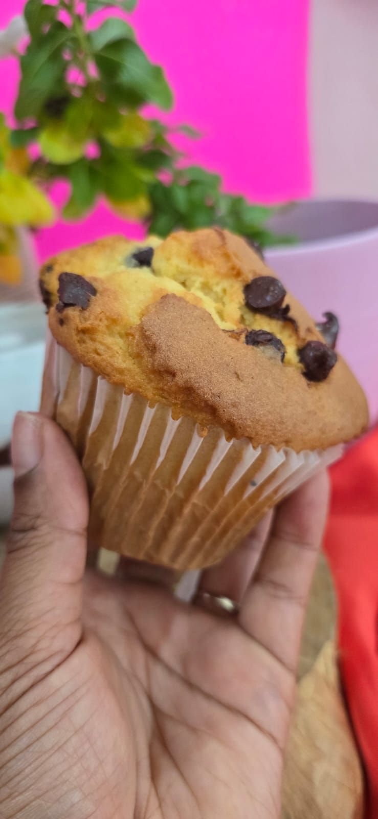 Chocolate Chip Muffin