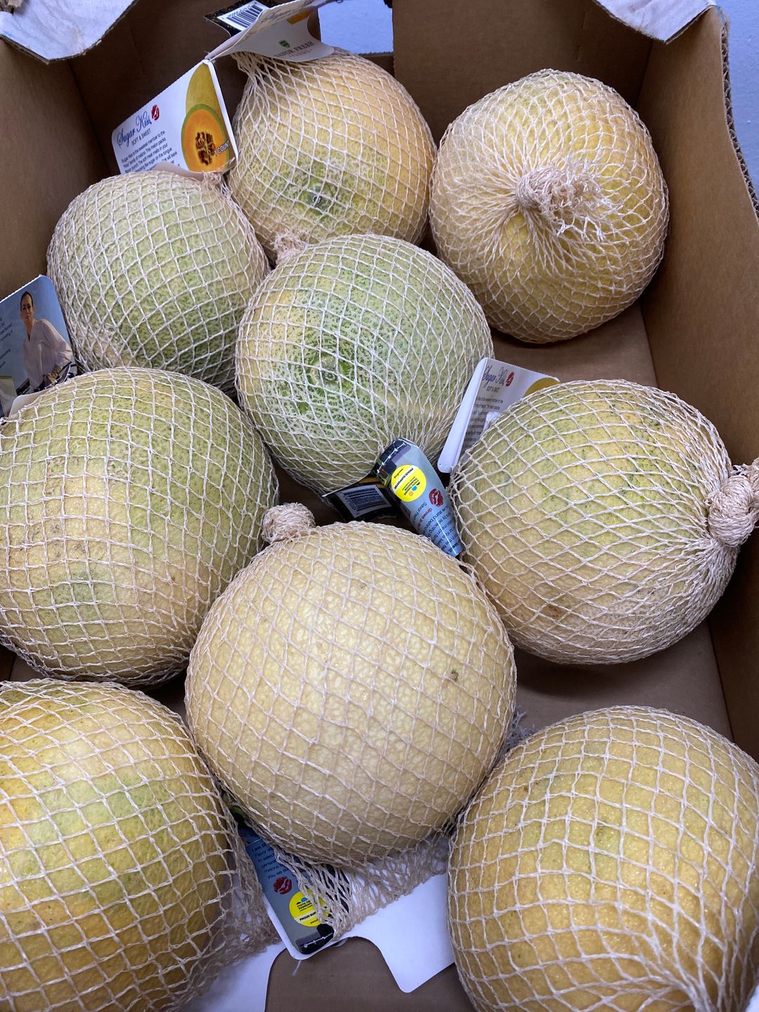 USA Kiss Melon