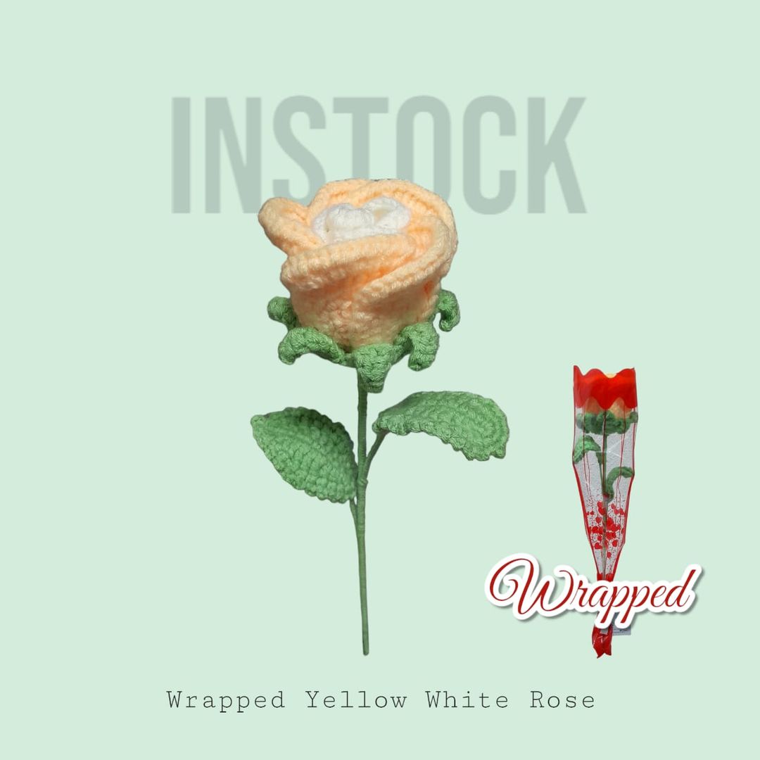 [INSTOCK] Wrapped Yellow White Rose