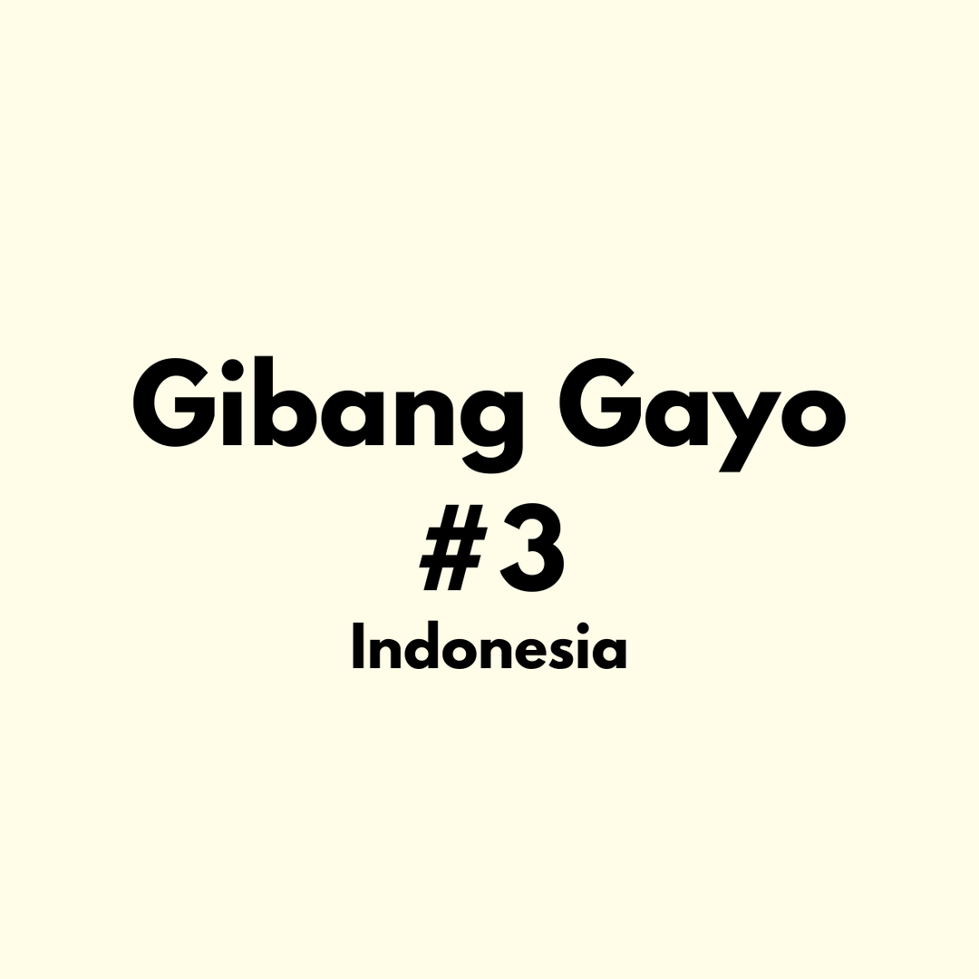 Ribang Gayo #3