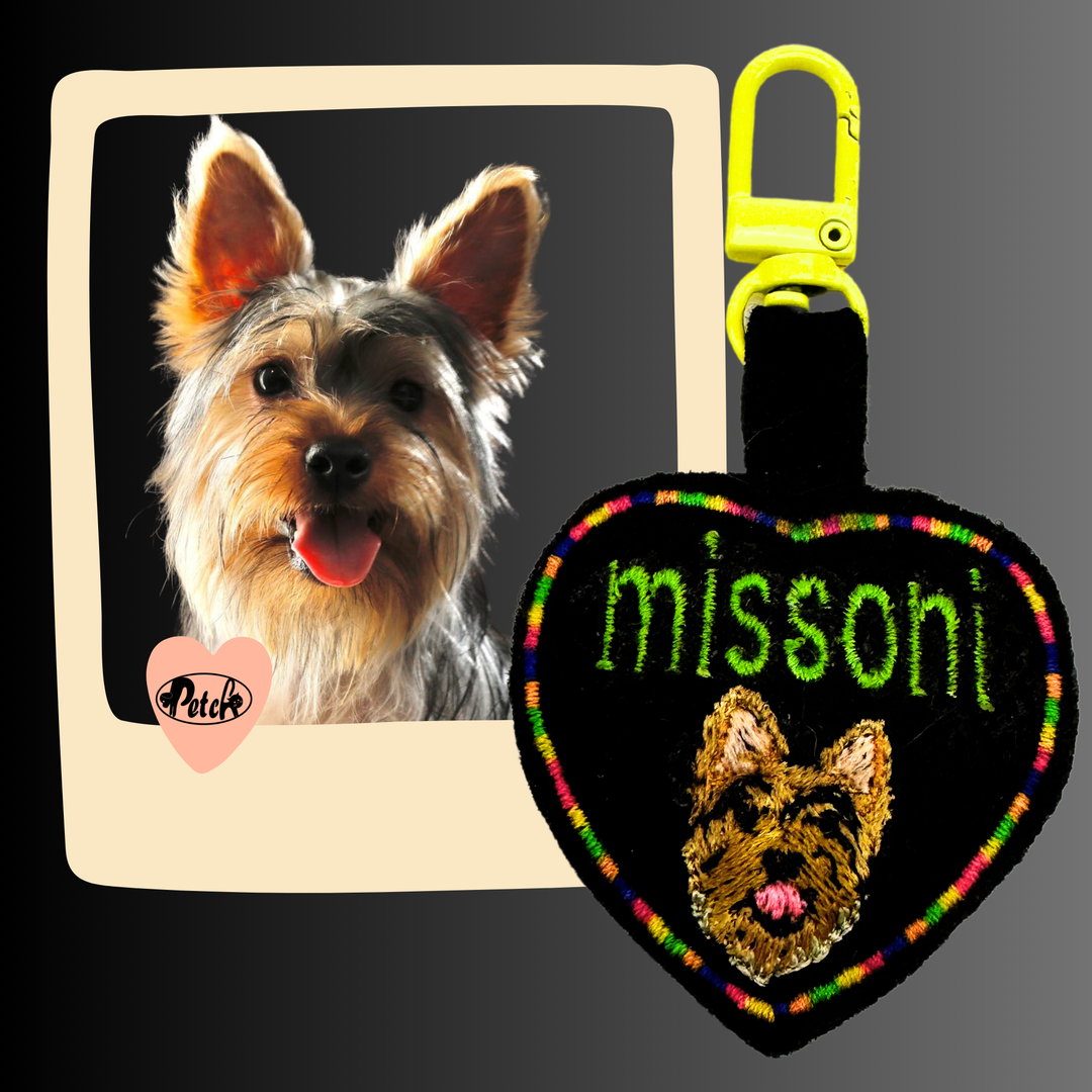 Make Pet ID Tag Fancy