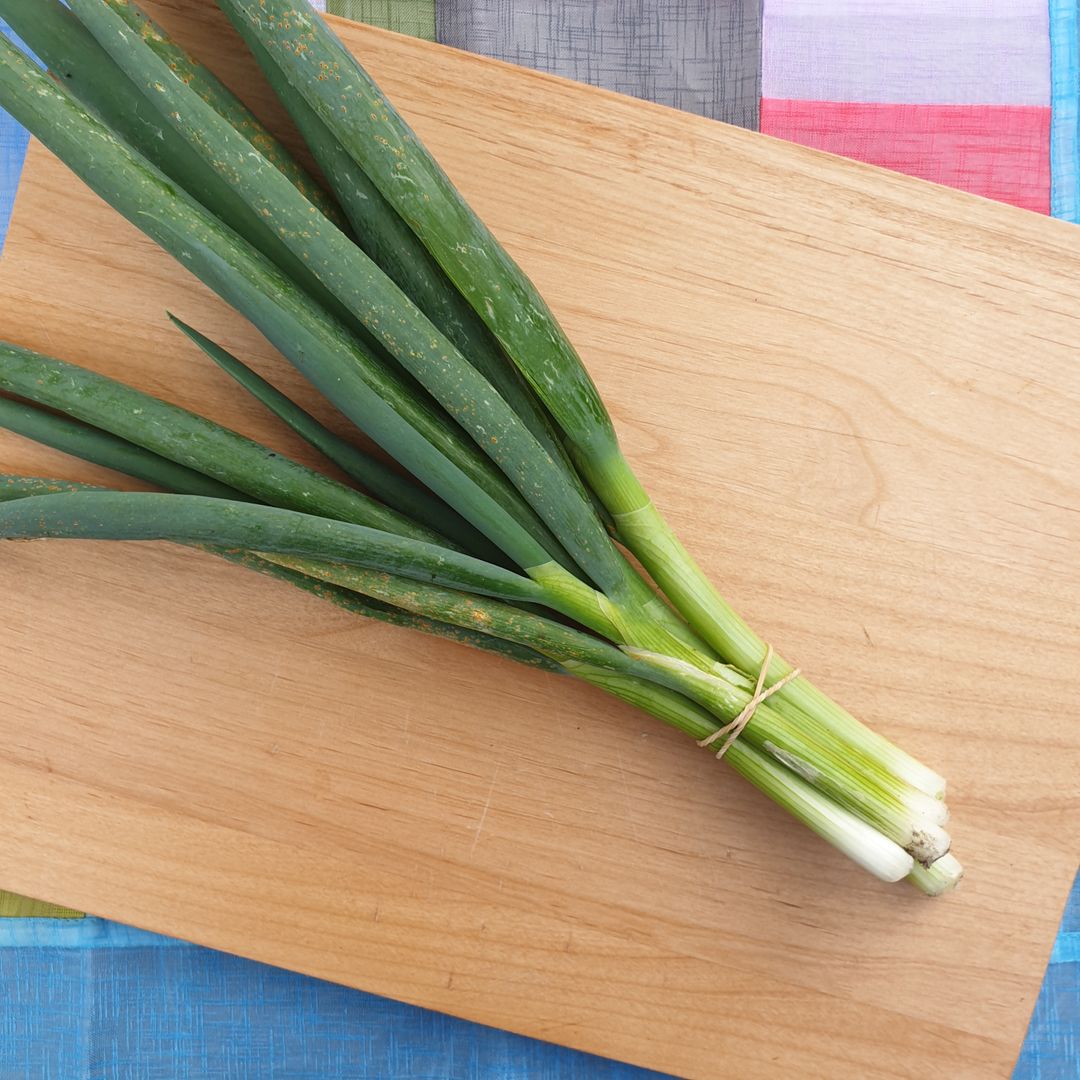 Spring Onion