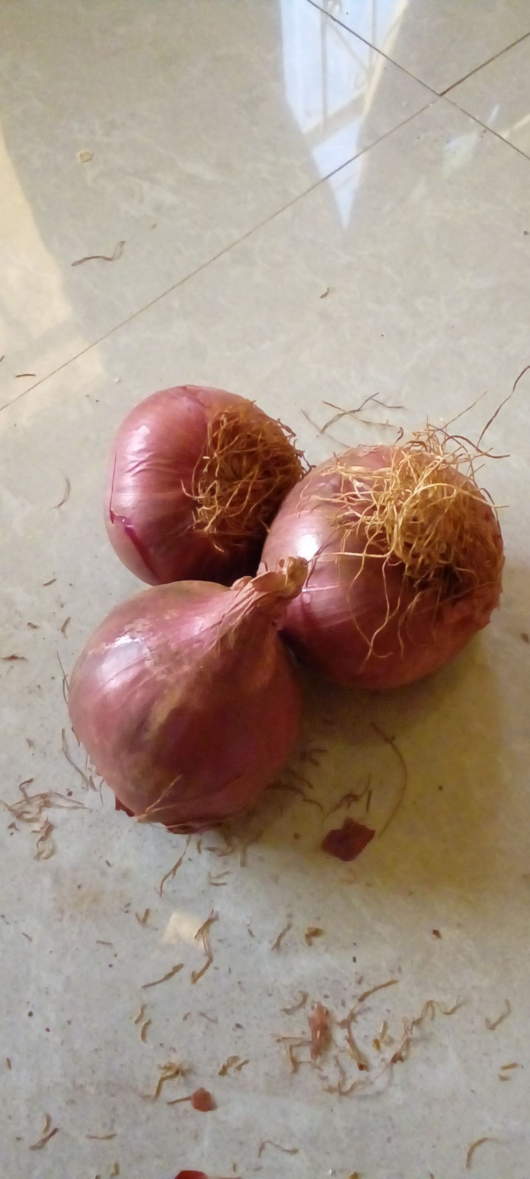 Onion