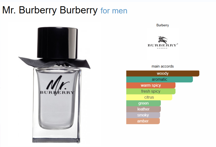 Inspired - Mr Burberry - Burberry