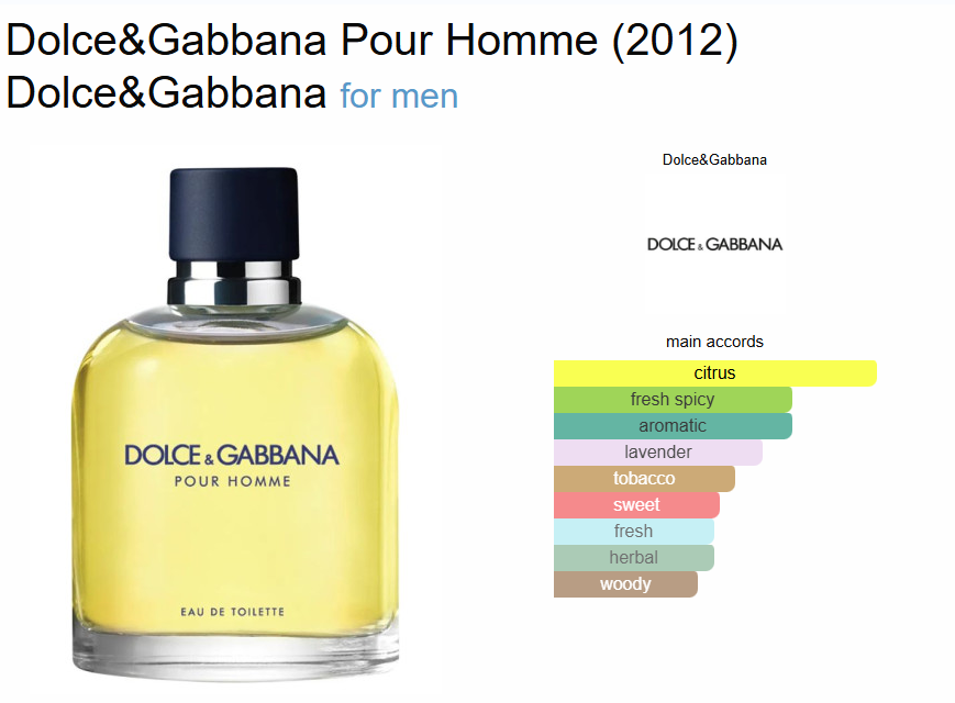 Inspired - Dolce & Gabbana  - Dolce & Gabbana