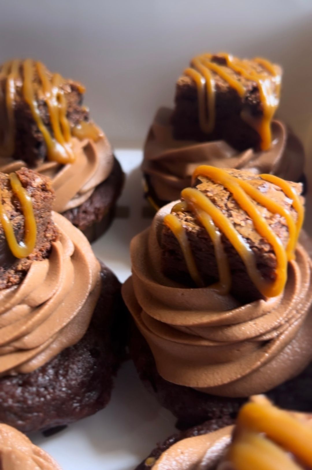 Fudge Chocolate Cupcakes Topped With Fudge Brownies 